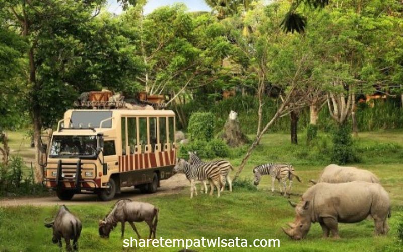 Keindahan Taman Safari Bogor